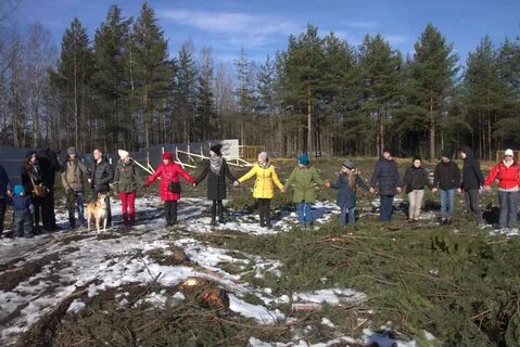Погода в каменном бору