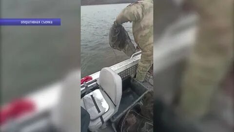 Саратовский смотрящий