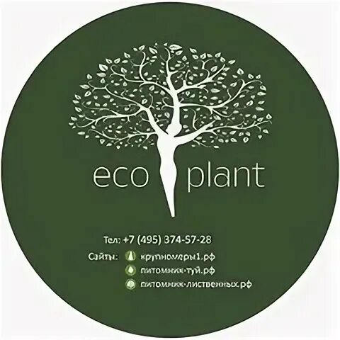 Eco plant. Экоплант. Логотип питомника растений. Питомник растений иконка. Московская фирма Экоплант.