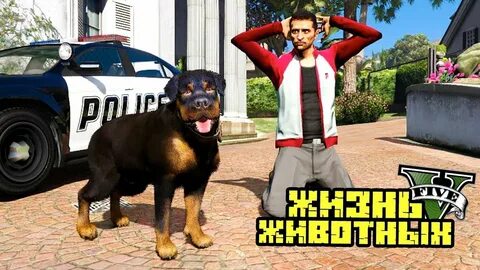 Гта 5 какая собака