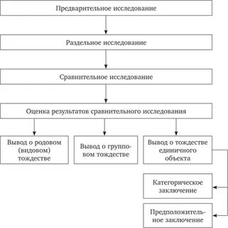 Понятие предварительного исследования
