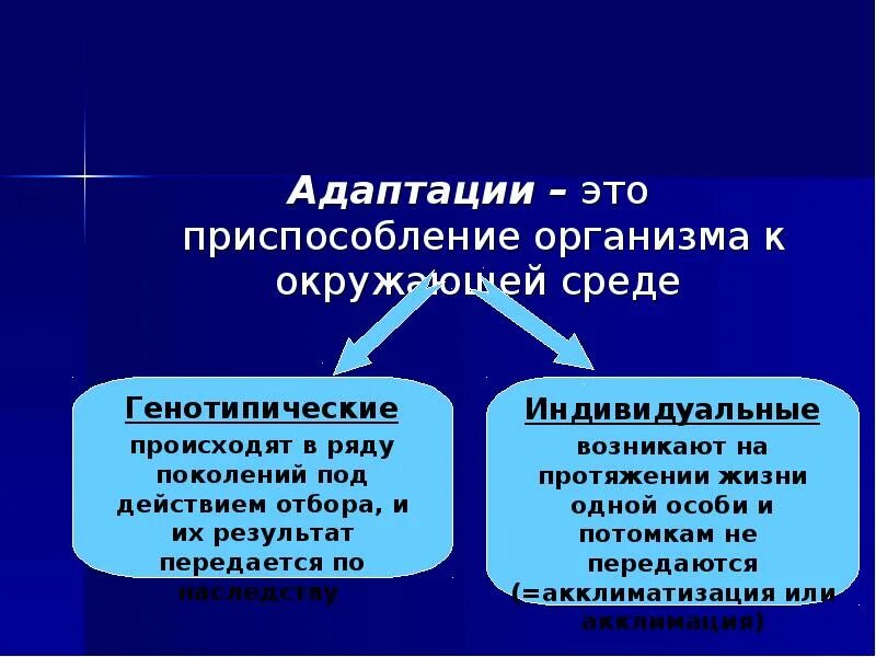 Среда жизни человека и адаптации человека. Адаптация человека к окружающей среде. проблемы адаптации человека к окружающей среде. примеры адаптации человека. примеры адаптации человека к окружающей среде.