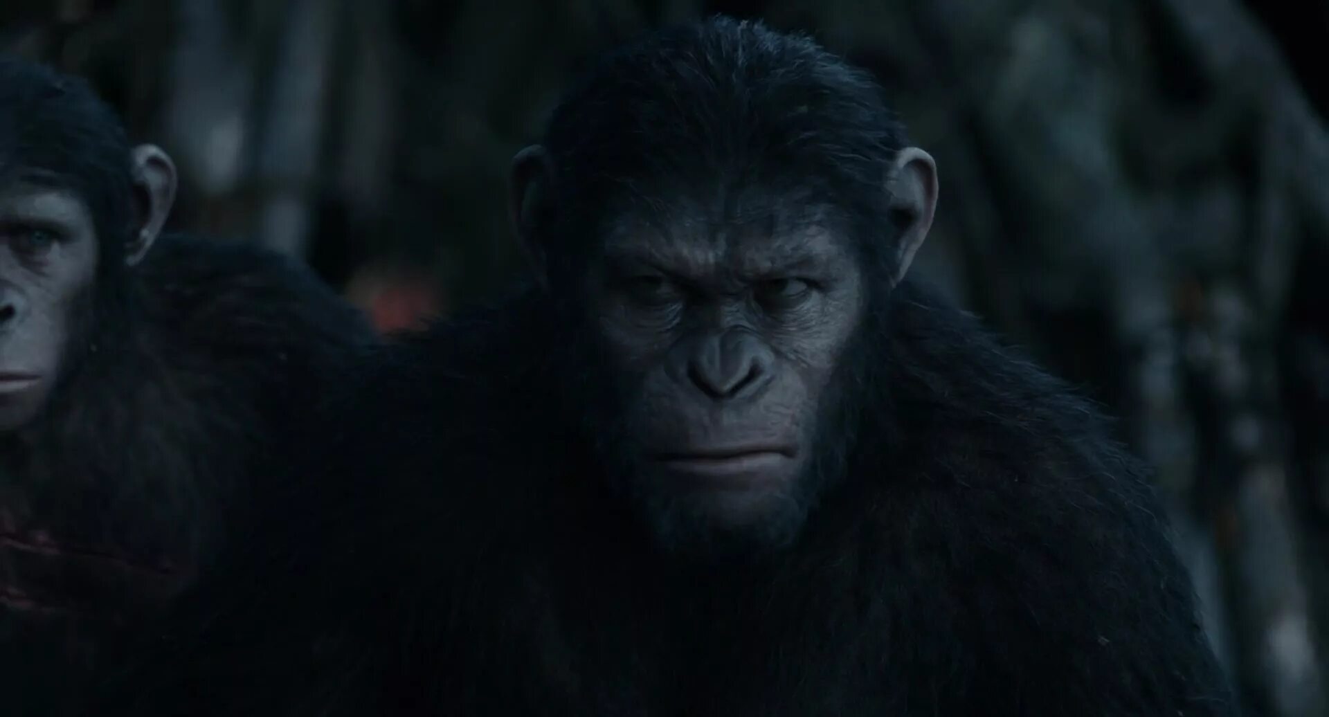 Битва обезьян. Планета обезьян 5 1973. Планета обезьян / planet of the apes (1968). Планета обезьян 2. Революция 2014 постер.