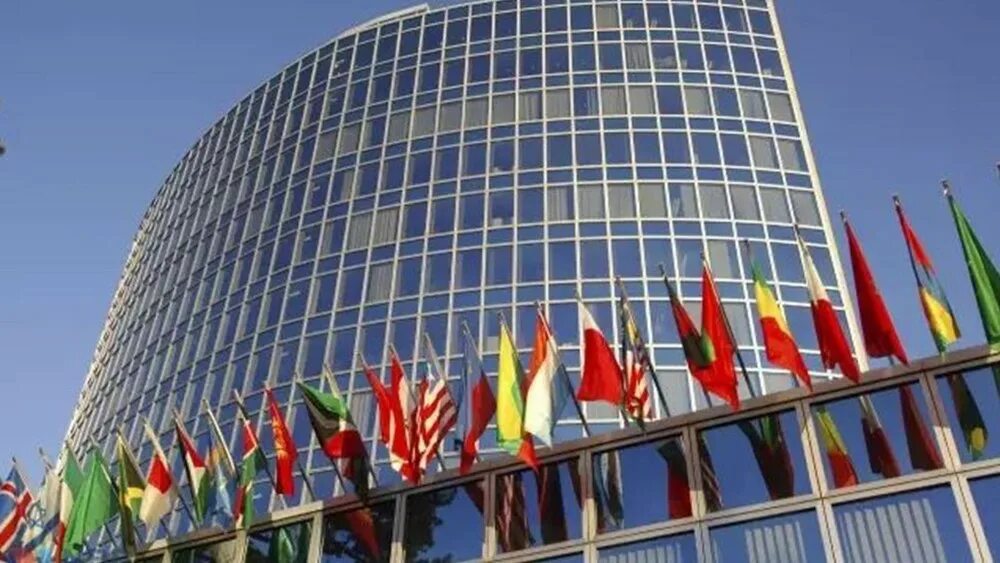 World intellectual property organization