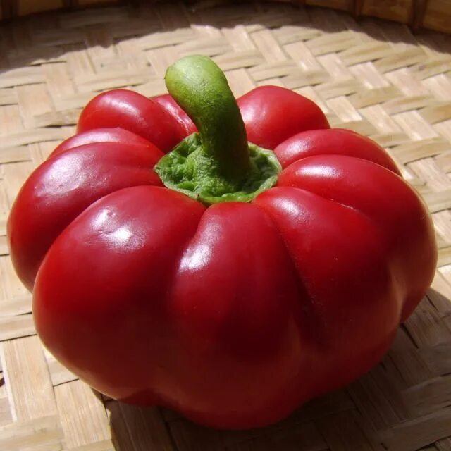 Как называется круглый перец. Перец сладкий red ruffle pimento. семена перец сладкий red ruffle pimento. сладкий перец sheepnose. перец круглый толстостенный.