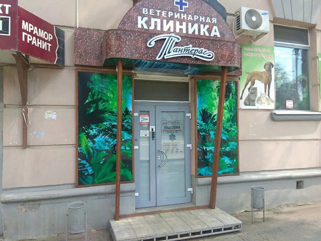 пантера ветеринарная клиника архангельск. ветклиника солнечный. борисенко ветеринарная клиника. клиника юнивет хабаровск. ветмастер ветеринарная клиника киров.