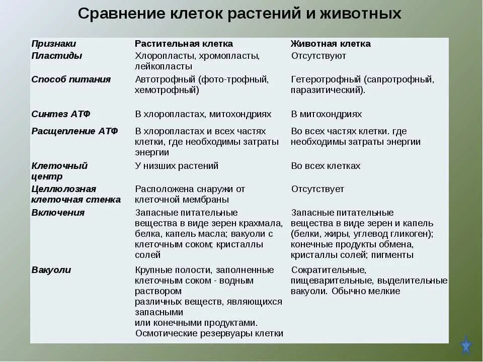 Строении признаки растений и животных. Сравнить строение растительной и животной клетки таблица. сравнение строения клеток растений и животных таблица. сравнение растительной и животной клетки таблица. строение клеток растений и животных таблица.
