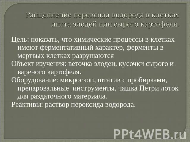 Расщепление пероксида водорода. «Расщепление пероксида водорода в клетках сырого картофеля». Ферментативное расщепление пероксида водорода. Распад пероксида водорода. Пероксид водорода и картофель