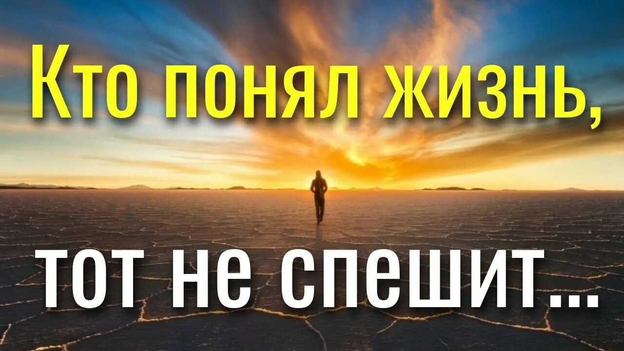 Кто понял жизнь тот не спешит омар. Кто понял жизнь тот не спешит. кто понял жизнь тот. кто понял жизнь омар. кто понял жизнь тот не спешит фото.
