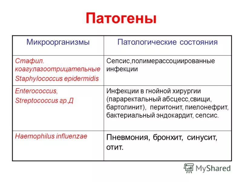 коагулазоотрицательные стафилококки