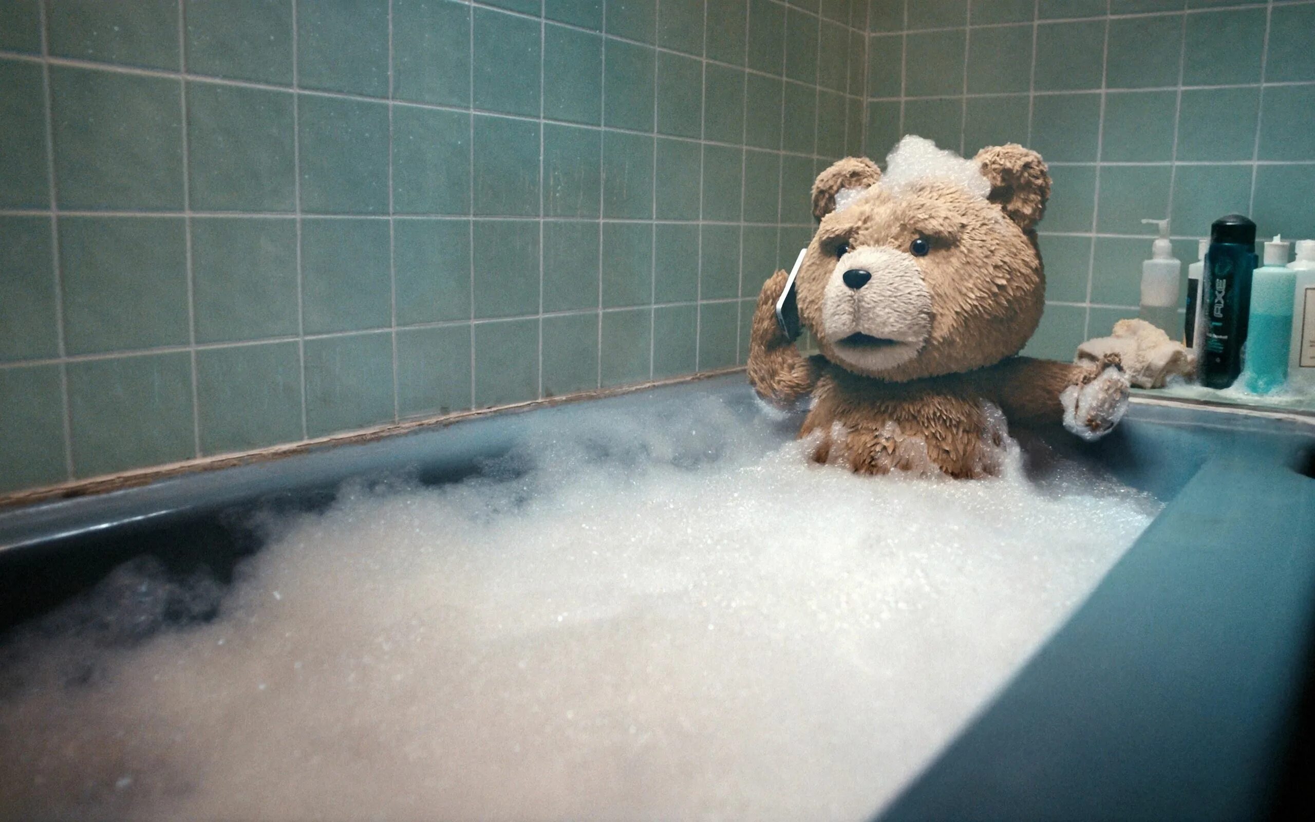 Тэдди выскочил из засады с глухим ревом. Тедди третий лишний. Третий лишний Тед в ванне. Медвежонок в ванной.