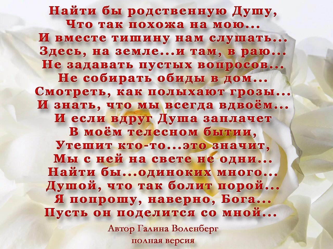 Стихотворения найти бы родственную душу. Стихи о родной душе. Родная душа стихи. Стихи о родных душах. Похожи родные души