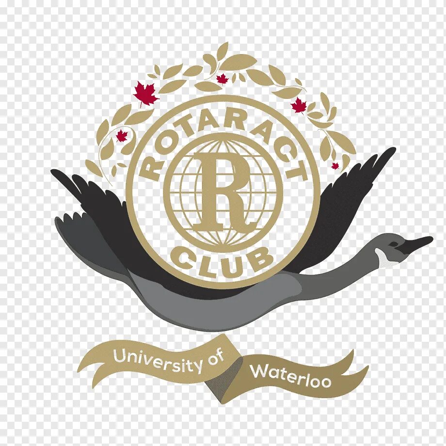 Университет Уотерлу лого. Университет Ватерлоо логотип. Женской американский бизнес эмблемы. Торговая эмблема. Company university