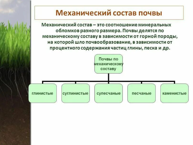 Грунт класс отходов. Различие почв схема. Механический состав почвы. Почвы по механическому составу. Механическая структура почвы.