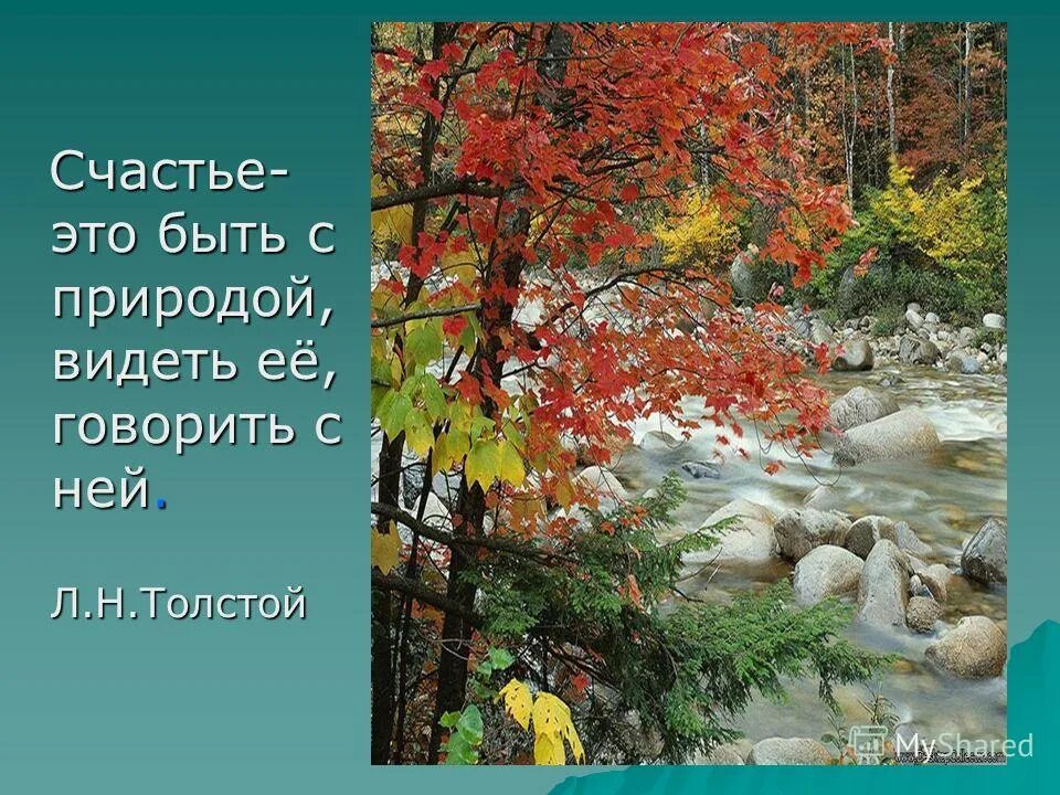 Природа с точки зрения толстого