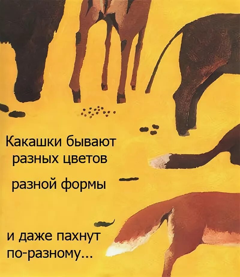 Детская книжка про какашки. Загадки о какашке. Книжка про какашки животных. Стишки про какашку.