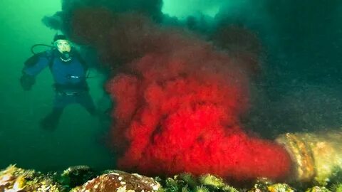 Мореть