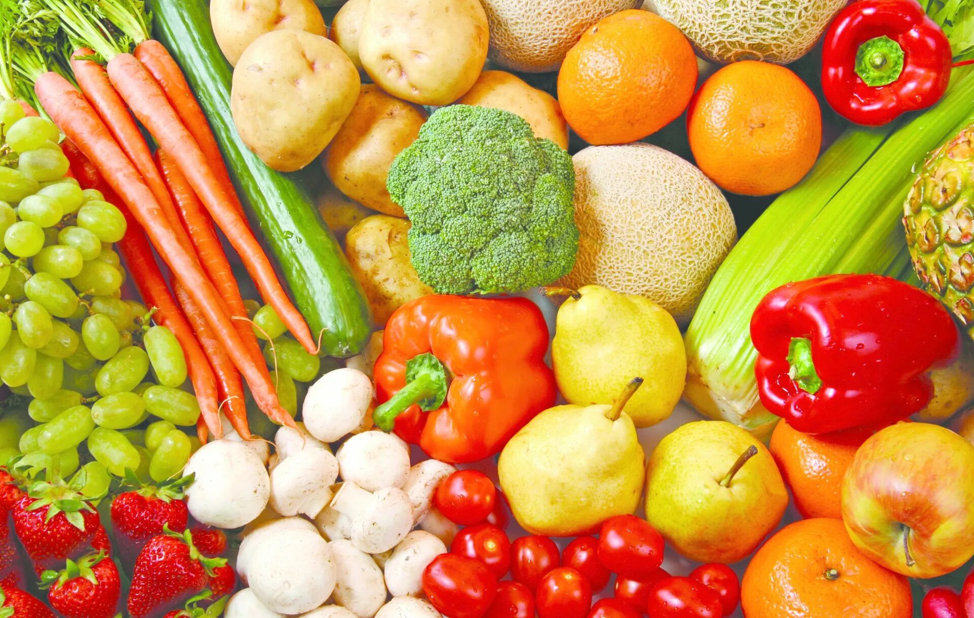 Fresh food