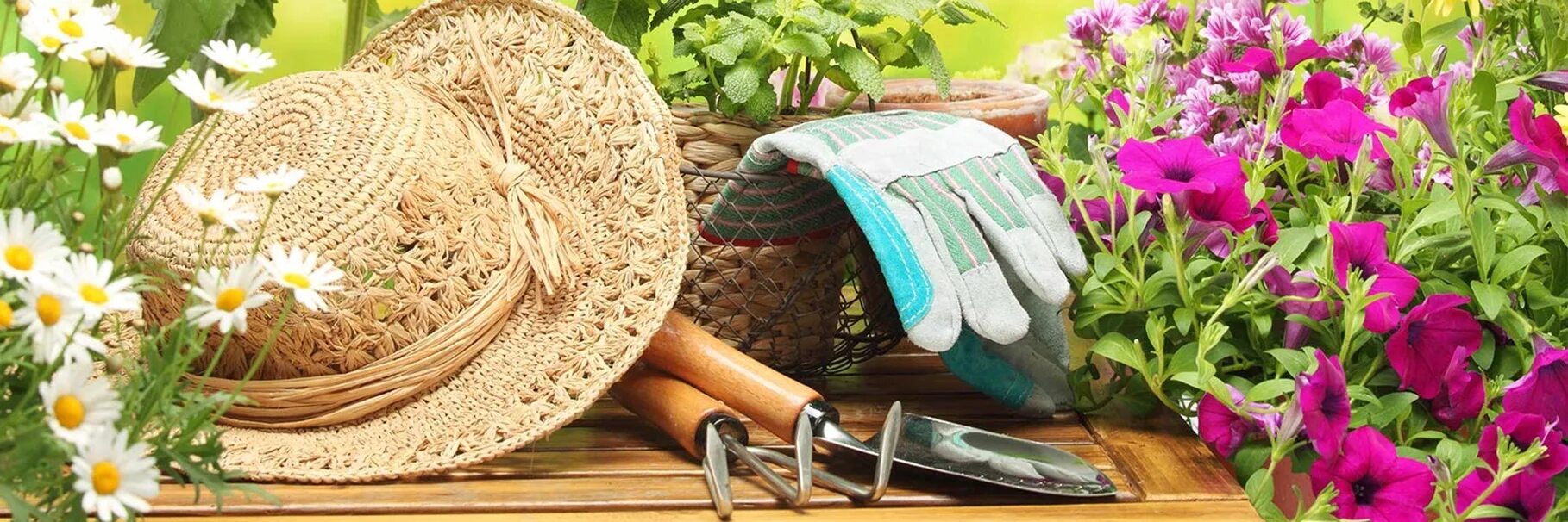 Товары для дачи и цветов. Товары для сада и огорода. Товары для дачи и цветов. Садовый инвентарь. Баннер сад огород.