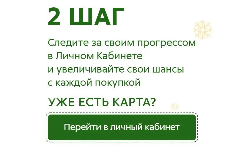 Розыгрыш призов Пятерочка. Пятерочка исполняем мечты 2021. Чек Пятерочка 2022. Actions.5ka. 5ka checks