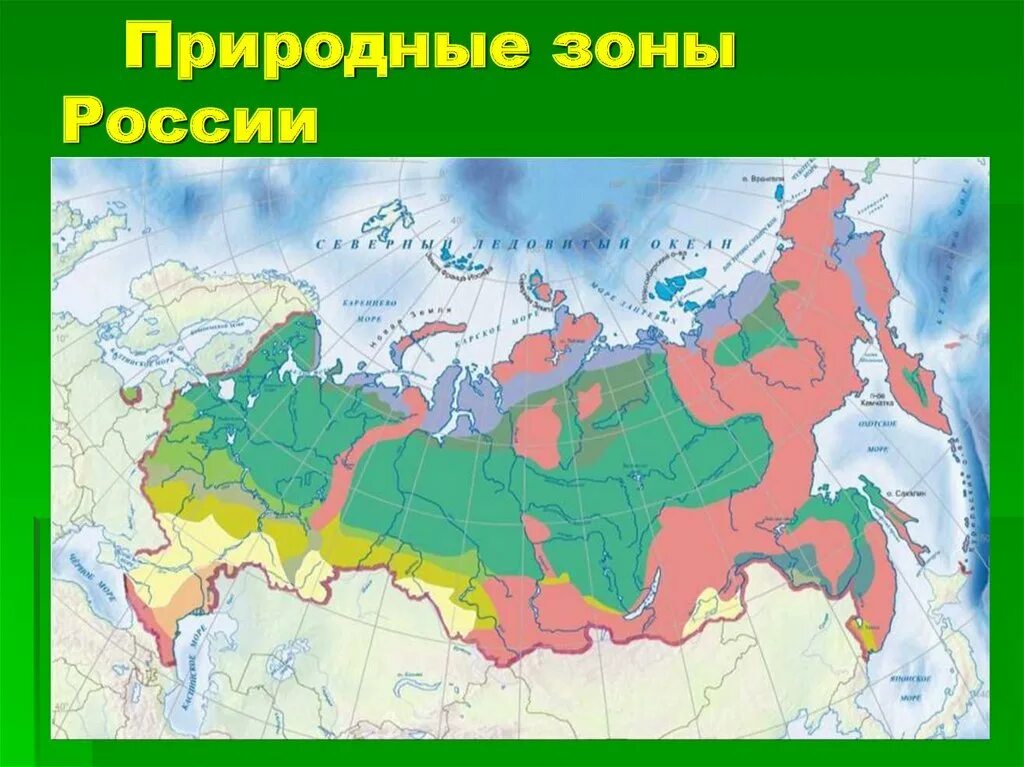 Зонах лежит территория россии. Тайга на карте России природных зон. Тайга природная зона на карте. Зона тайги на карте России. Природные зоны карта природных зон России.