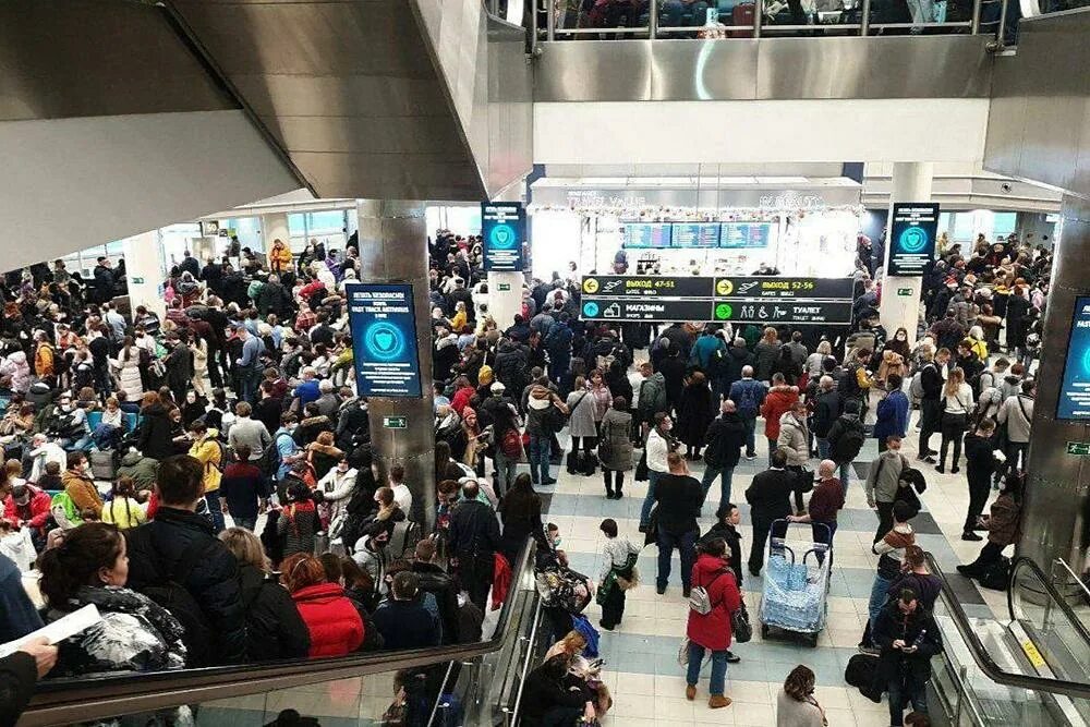 Что творится в аэропортах москвы сегодня. Очереди в аэропортах Москвы. Люди в аэропорту Домодедово. Аэропорт Домодедово народ. Толпа людей в аэропорту.