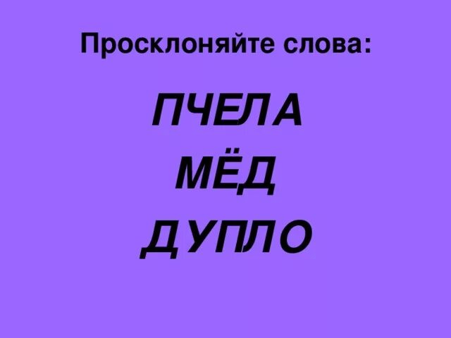 Просклонять словодупла. Просклонять слово дупло. Просклонять слово дупло по падежам. Множественное число слова дупло. Просклонять слово пчела