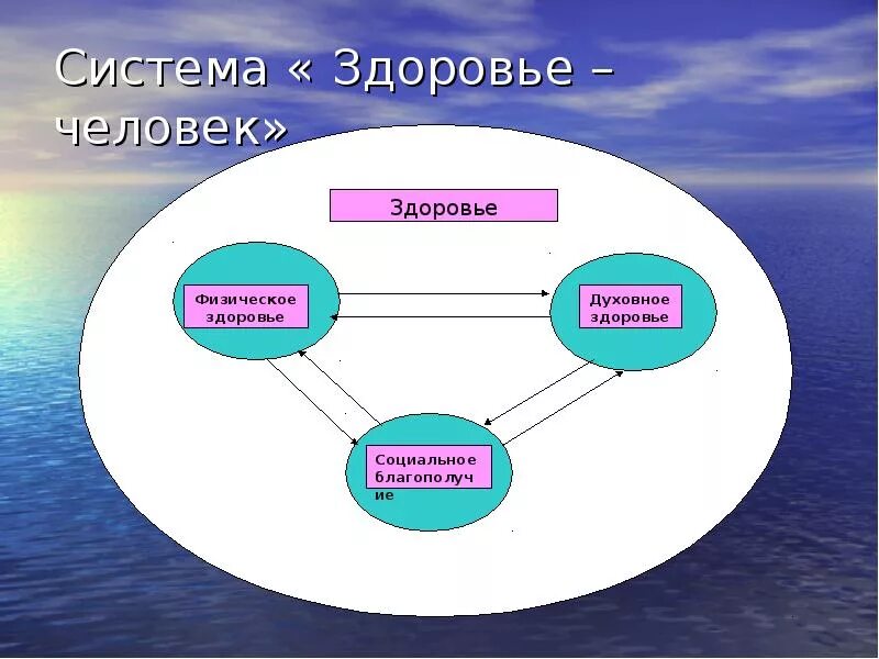 Здоровье и образование. Система здоровья человека. Социальное здоровье человека. Схема системы здоровья. Система личного здоровья человека.