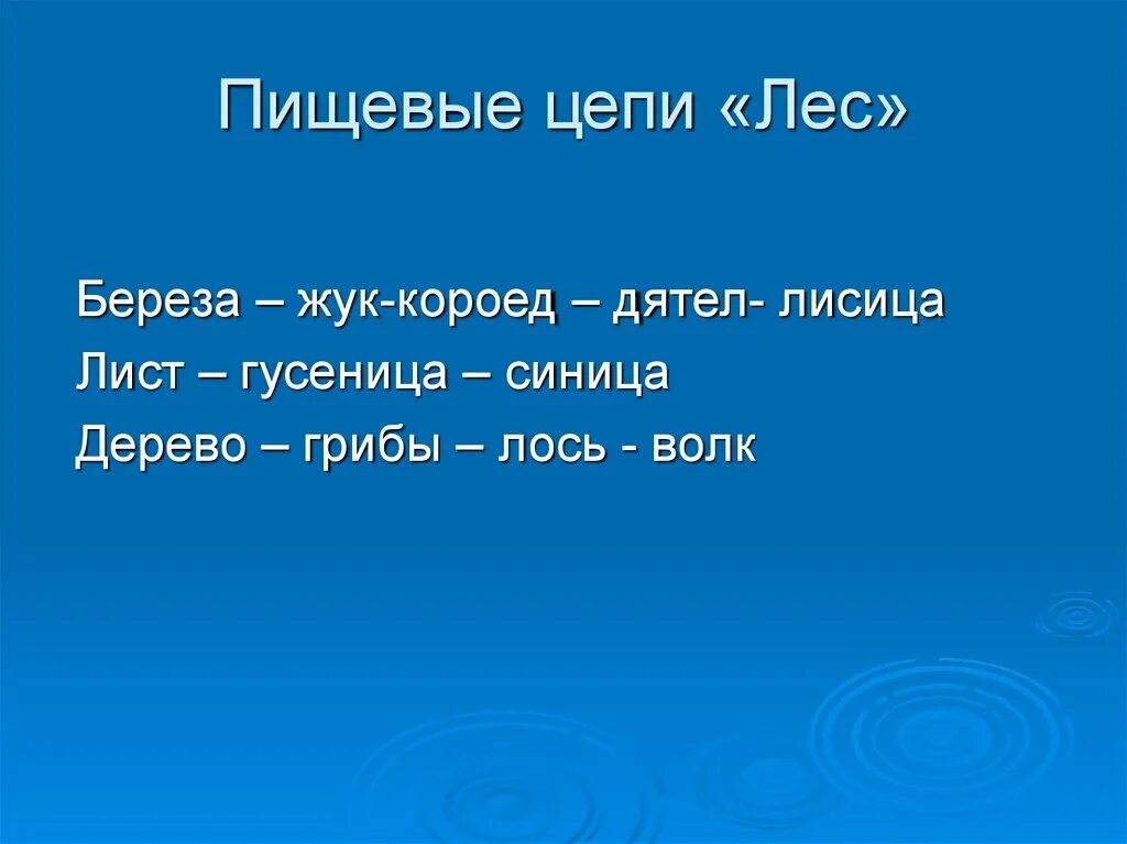 Пищевая цепочка березового леса. Пищевая цепочка березы. Цепь питания береза. Пищевая цепь с березой. Цепь питания березы