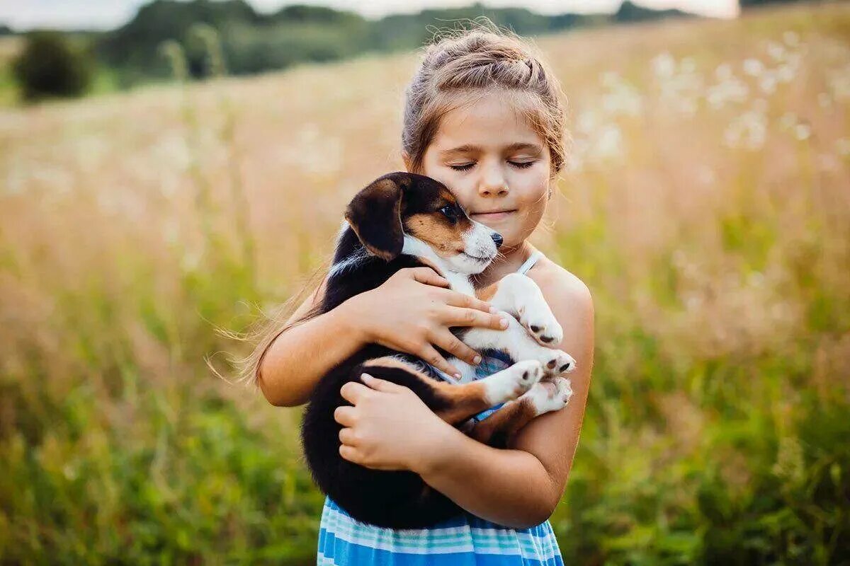 Девочка с собакой. Щенок на руках. Девочка обнимает собаку. Для детей. Животные.