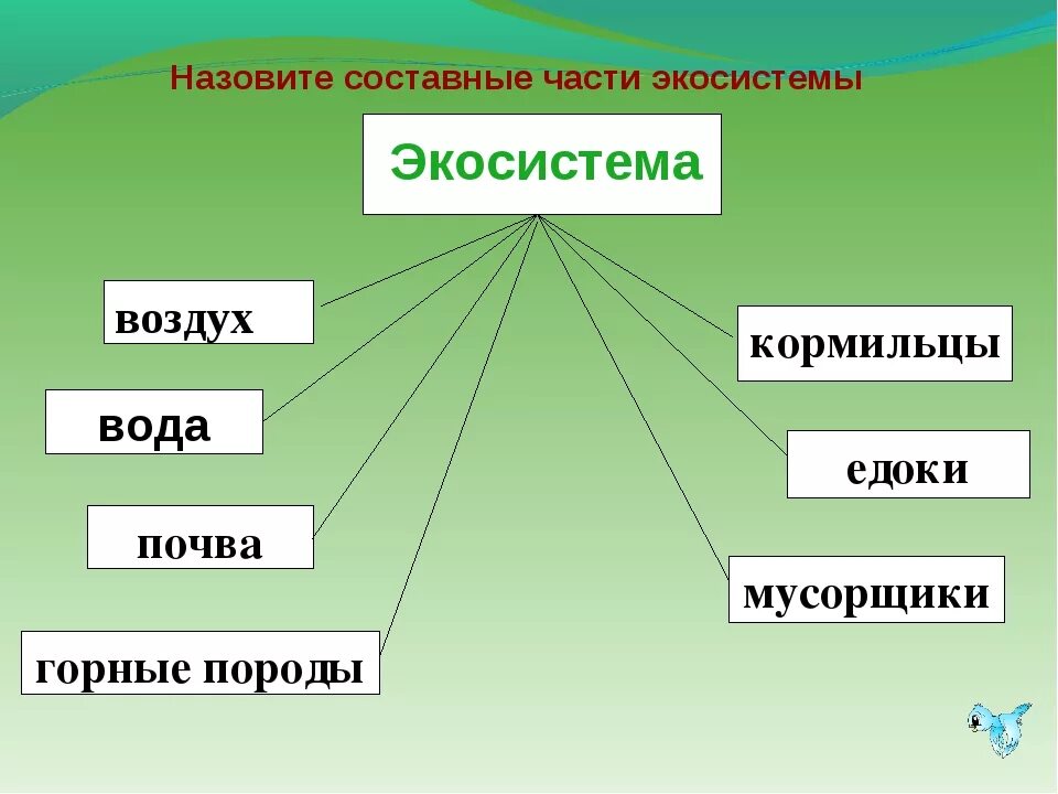 Экология сообщества называется