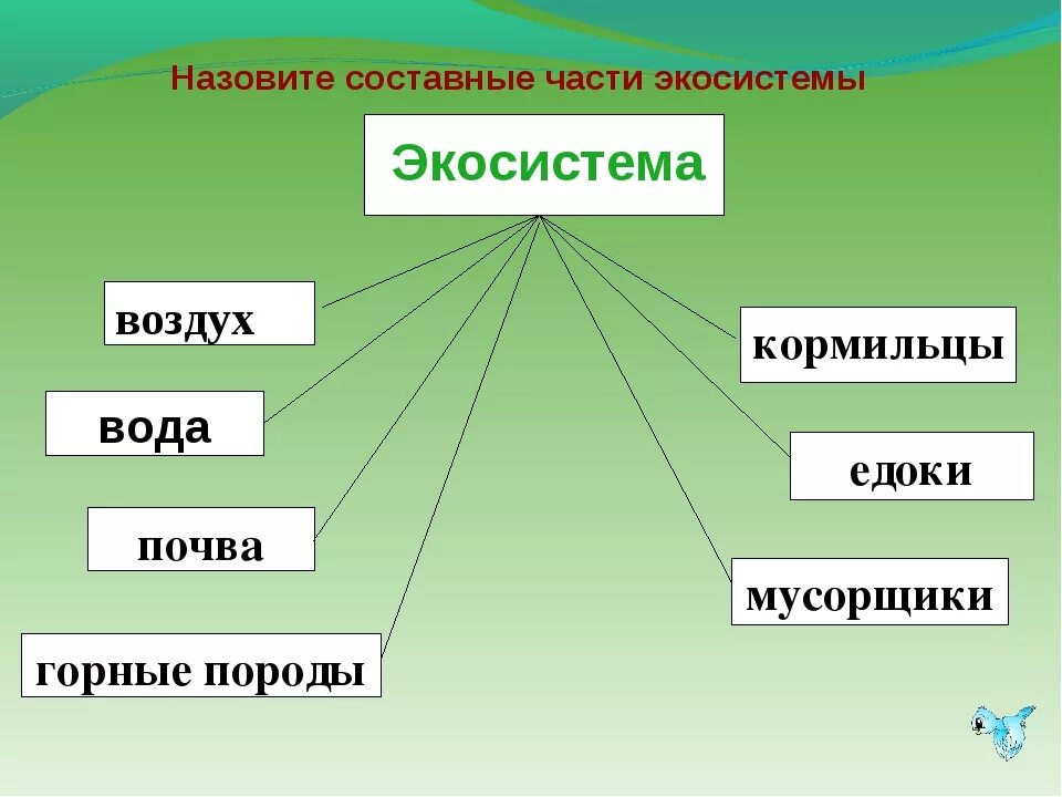 Основные части экосистемы. Составные части экосистемы. Составные части экологических систем. Назовите составные части экосистемы.