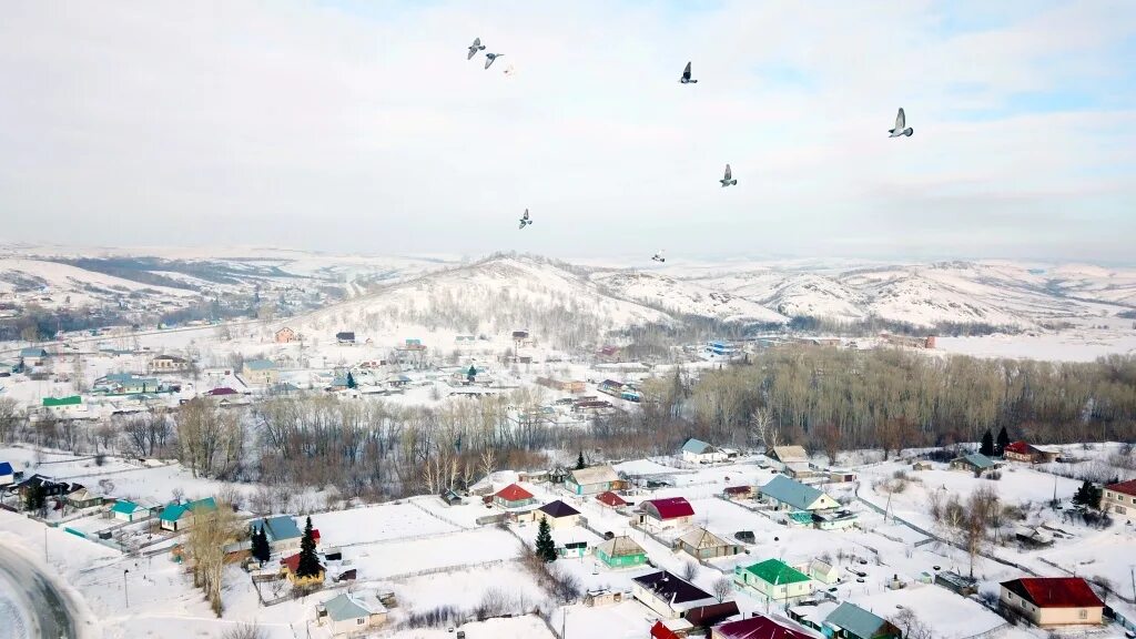 Змеиногорск алтайский край зимой. Гора ревнюха алтайский край. Город змеиногорск алтайского края вид сверху. Змеиногорск алтайский край природа. Город змеиногорск.