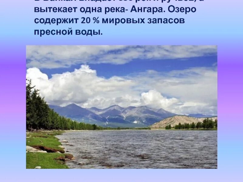 В озеро байкал впадает. 336 Рек впадает в озеро Байкал. Река Ангара впадает в озеро Байкал. Река вытекающая из озера Байкал. Байкал вытекает Ангара.