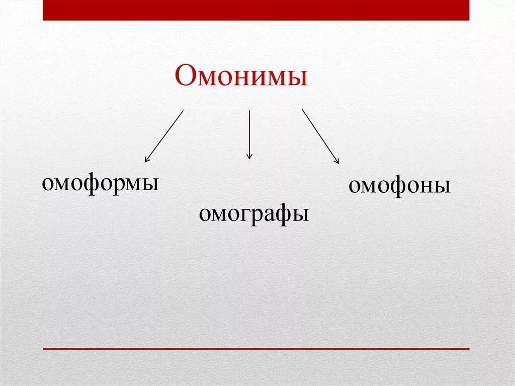 Примеры синонимов омонимов. Омонимы омофоны омоформы. Паронимы омонимы омофоны омографы омоформы. Омонимы омографы омоформы. Домофоны, омографы, омоформы.