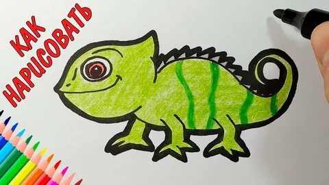 Легкие хамелеона