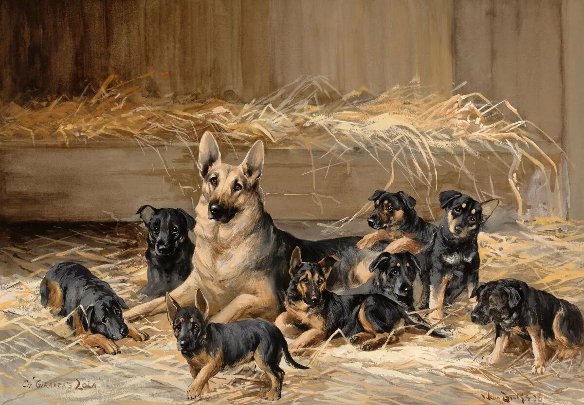 Детский сад для собак щенков. Reuben ward binks (british 1880-1950. щенки и собаки. собаки в живописи. овчарка живопись.