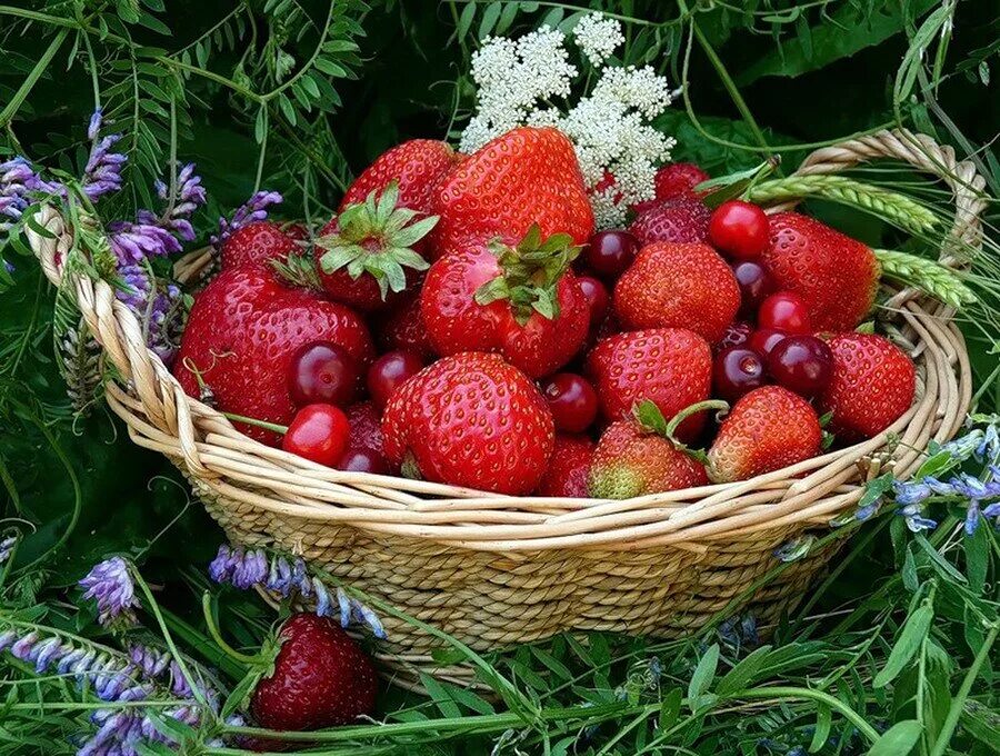 Летние ягоды. Клубника в корзинке. Лето ягоды цветы. Корзина с ягодами.