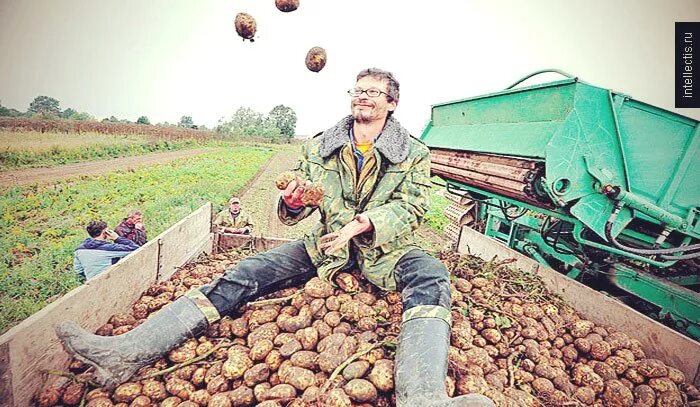 банкротство крестьянского хозяйства