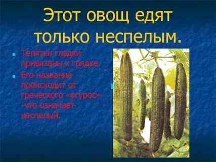 Привязаны к грядке