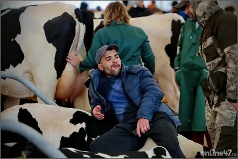 Выставка племенных животных белые ночи