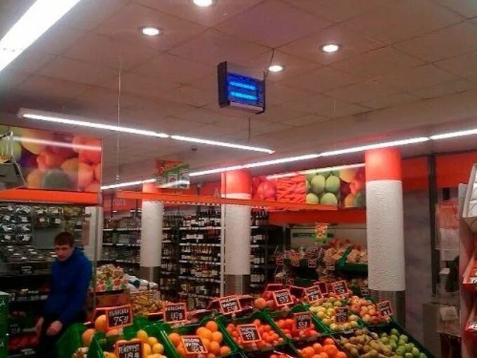 Сеть нетто. Магазин призма петрозаводск. реклама магазина netto. тц нетто.