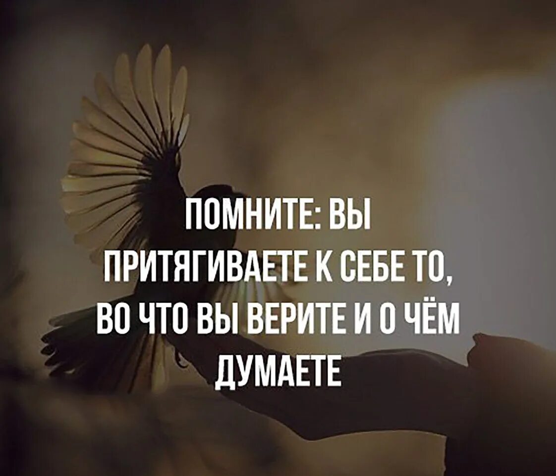 Картинки в статус в ватсап про жизнь. Статусы про жизнь. Цитаты со смыслом. Красивые статусы со смыслом. Цитаты со смыслом короткие.