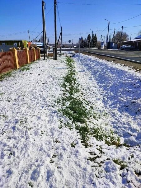 В каком году в мае выпал снег. Снег фото. Снегопад в городе. Снегопад фото. Первый снег.