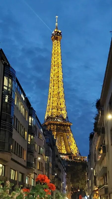 Башня шухова гуанчжоу. Башня кантон тауэр гуанчжоу. Башня скай тауэр в новой зеландии. Tokyo skytree строительство. Железная башня в париже.