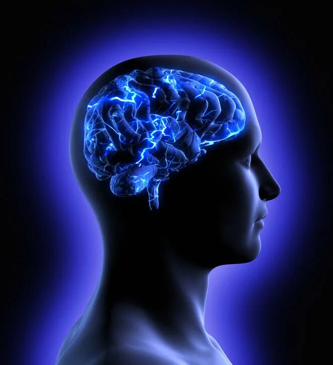 Современный мозг. Синий мозг. Марихуана и мозг. Гениальный мозг.
