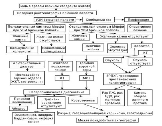 Алгоритм острый живот. Алгоритм диагностики абдоминальной боли. Алгоритм диагностики острого живота. Синдром боли в животе дифференциальный диагноз. Синдром болей в животе дифференциальная диагностика.