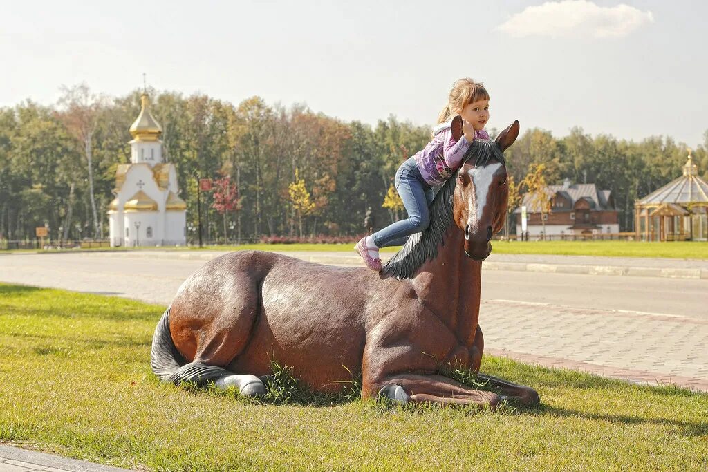 Лошадка в парке