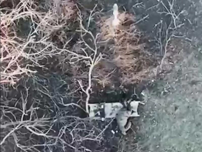 Тимур бекмансуров стрелок. Группа расстреляла. Группа расстреляла. Группа расстреляла. 1941 политрук перед расстрелом.