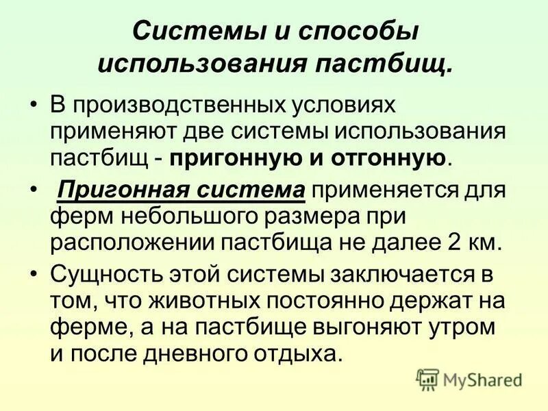 рациональное использование пастбищ. пастбища крупного рогатого скота в бразилии. коровы на пастбище. рациональное использование пастбищ. культурные пастбища.